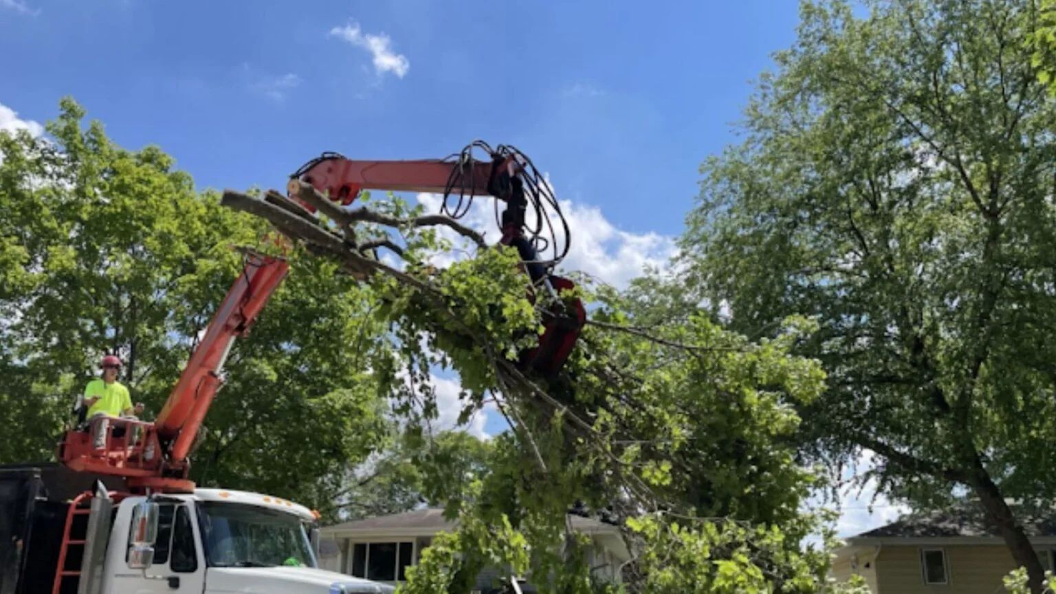 emergency-tree-service-1536x864