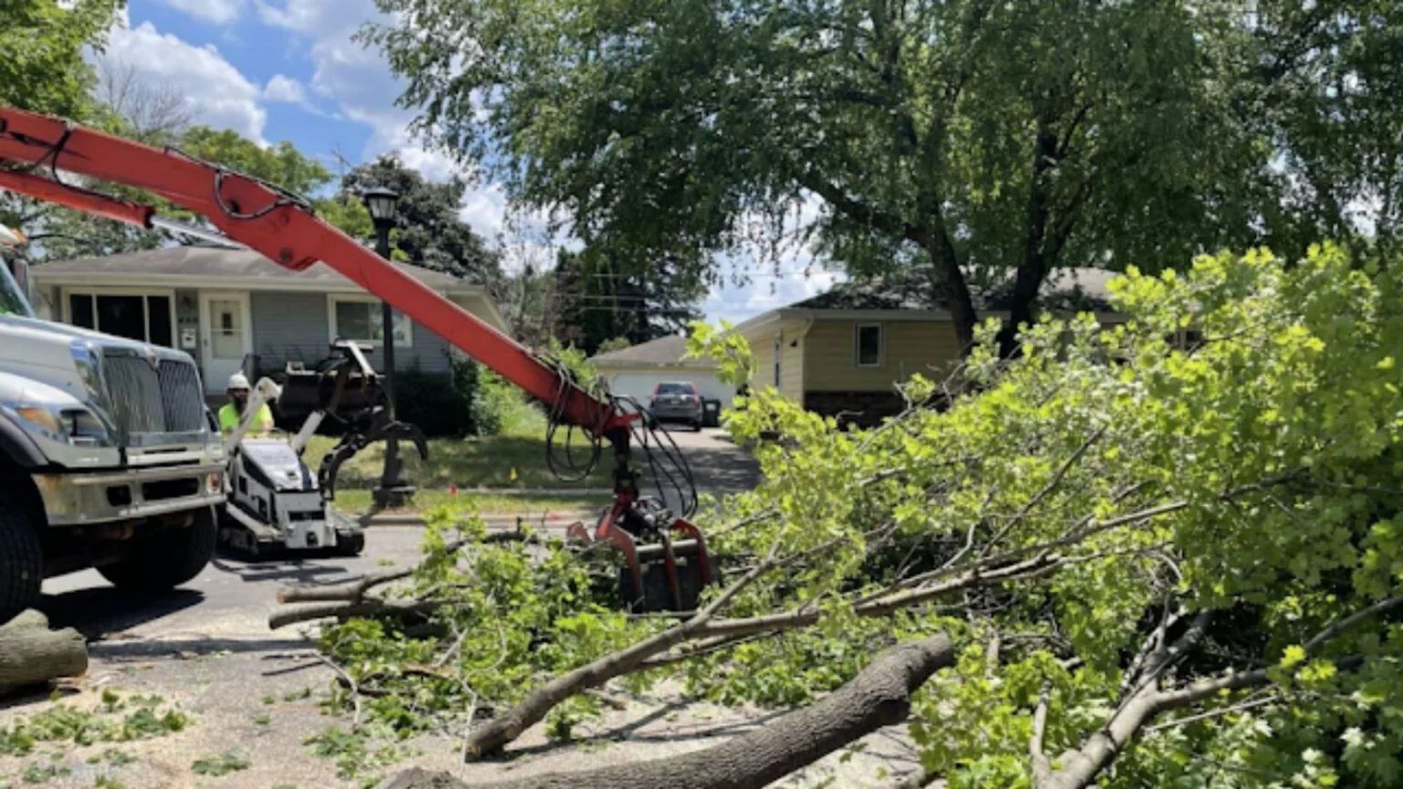 tree-care-company-1536x864